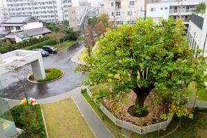 土佐病院文化祭にお招きいただきました。