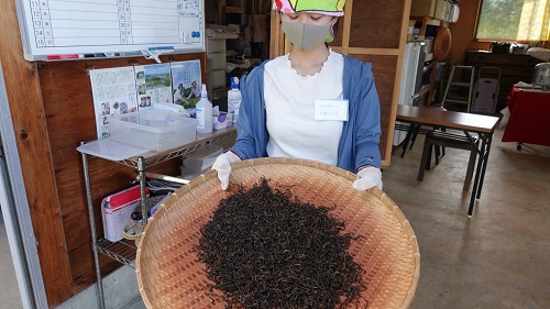 活動のご紹介【紅茶研究会】