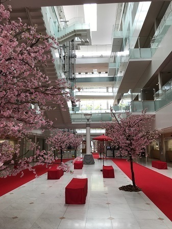 東洋大学